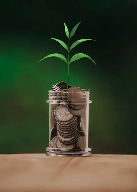 How Compounding Works in Mutual Fund Growth?